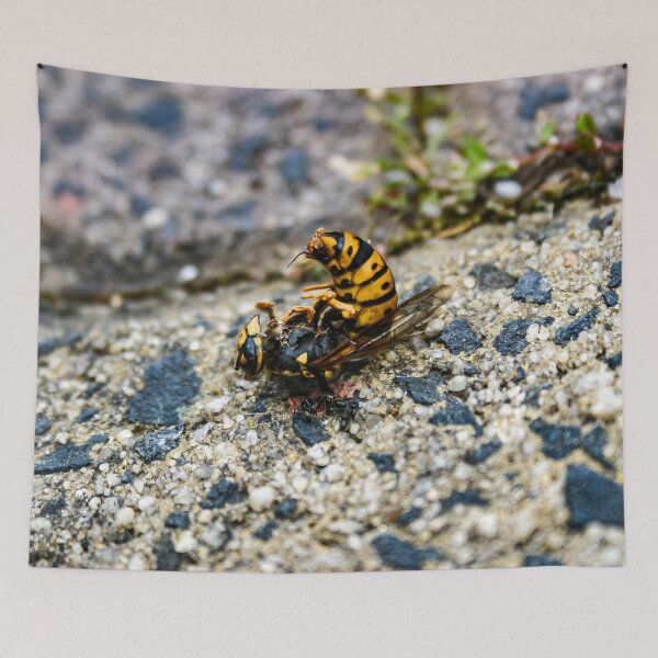 Item preview, A Bright Yellow and Black dead European wasp being eaten by ants on a sandy concrete ground designed and sold by James-Cole.