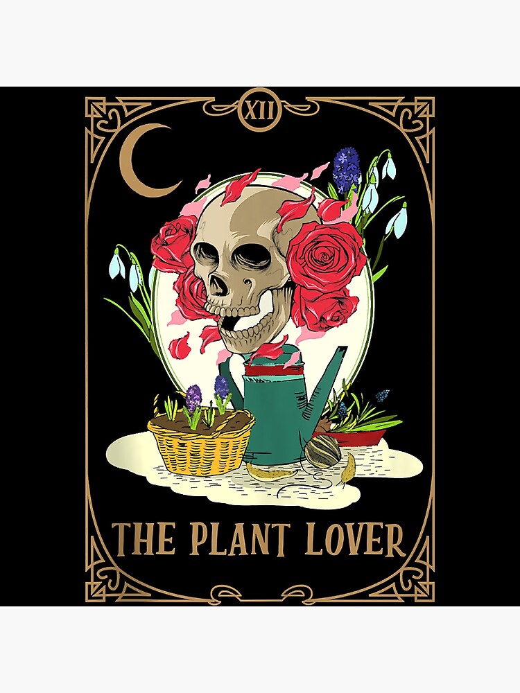 Crescent x Skeleton! Florist! Reader