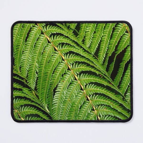 Item preview, Fern leaves designed and sold by Gaspar Avila.