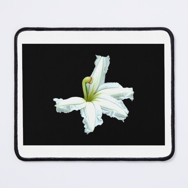 Item preview, Single Naupaka Flower designed and sold by Keola Makaiau.