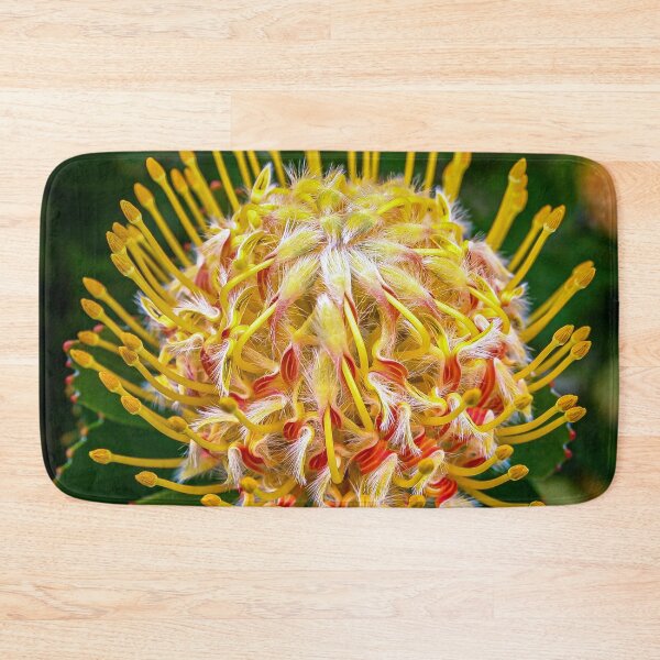 Item preview, The Protea Pincushion or Leucospermum Veldfire is an Australian native flower in vivid colour designed and sold by James-Cole.