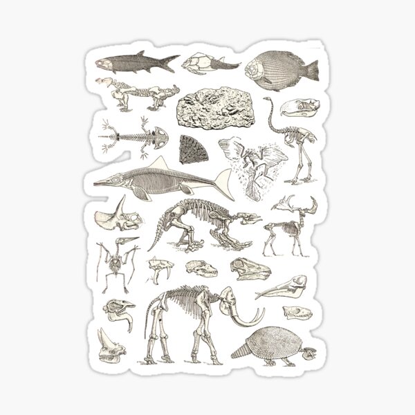 Item preview, Paleontology Illustration designed and sold by Go-Postal.