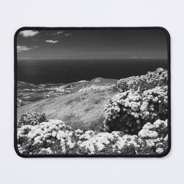 Item preview, Landscape with hydrangeas designed and sold by Gaspar Avila.