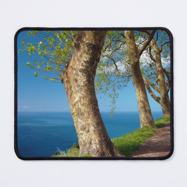Item preview, Trees overlooking the ocean designed and sold by Gaspar Avila.