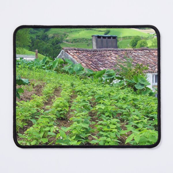 Item preview, Traditional organic farming designed and sold by Gaspar Avila.