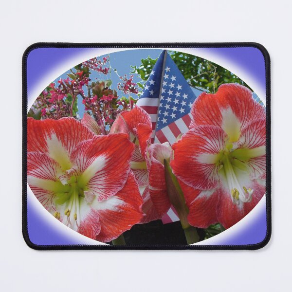 Item preview, Flag Day 2021 Design - Amaryllis - Beautiful Red, White Flowers with USA Flag. designed and sold by ThisNThatImages.
