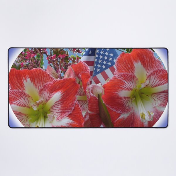 Item preview, Flag Day 2021 Design - Amaryllis - Beautiful Red, White Flowers with USA Flag. designed and sold by ThisNThatImages.