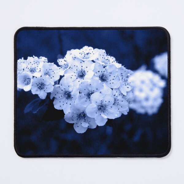 Item preview, White flowers designed and sold by Gaspar Avila.
