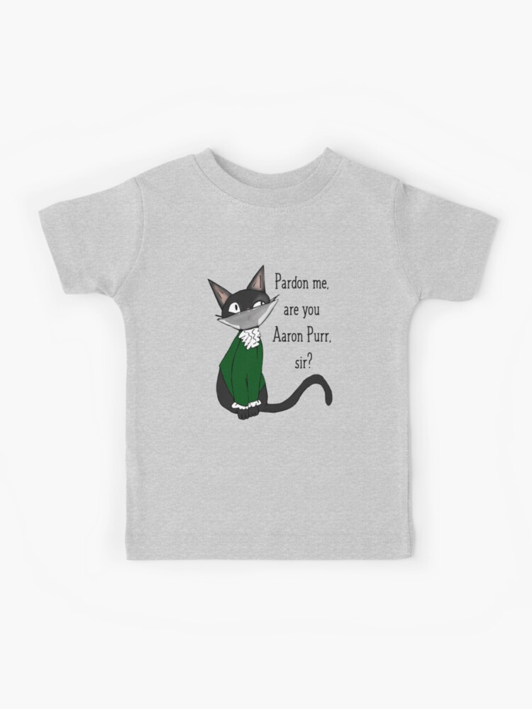 Womens Pardon Me Are You Aaron Purr Sir Hamilton Cat V-Neck T-Shirt