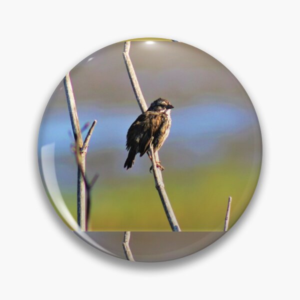 Item preview, Songbird designed and sold by craftsbydaphy.