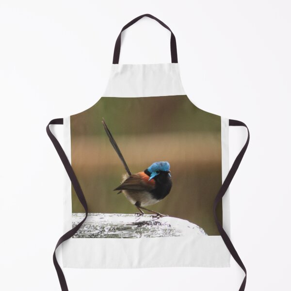 Item preview, Splendid Wren - Walpole, Western Australia designed and sold by Rosdenphoto.