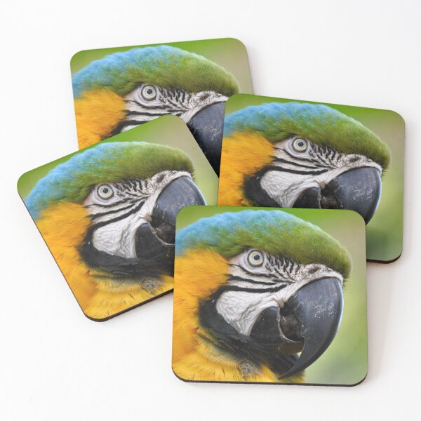Item preview, Pretty Parrot Closeup designed and sold by richardbryce.