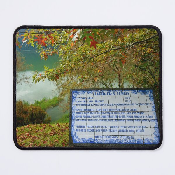 Item preview, Lake and azulejo tiles designed and sold by Gaspar Avila.