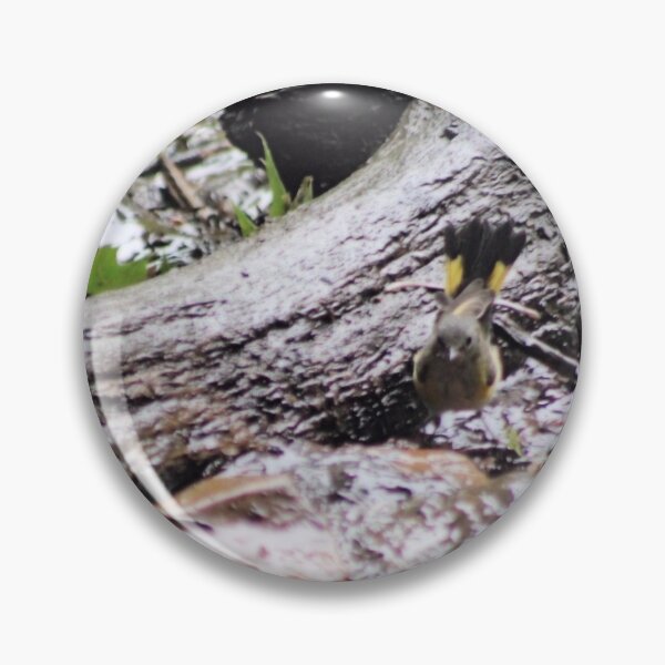 Item preview, AMERICAN REDSTART designed and sold by BOLLA67.