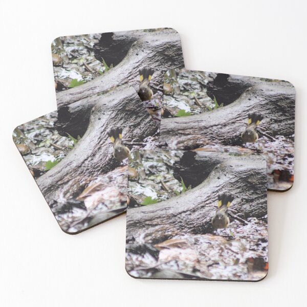 Item preview, AMERICAN REDSTART designed and sold by BOLLA67.