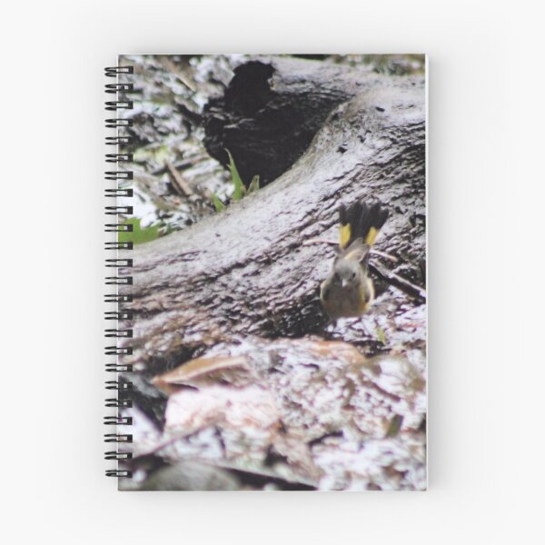 Item preview, AMERICAN REDSTART designed and sold by BOLLA67.