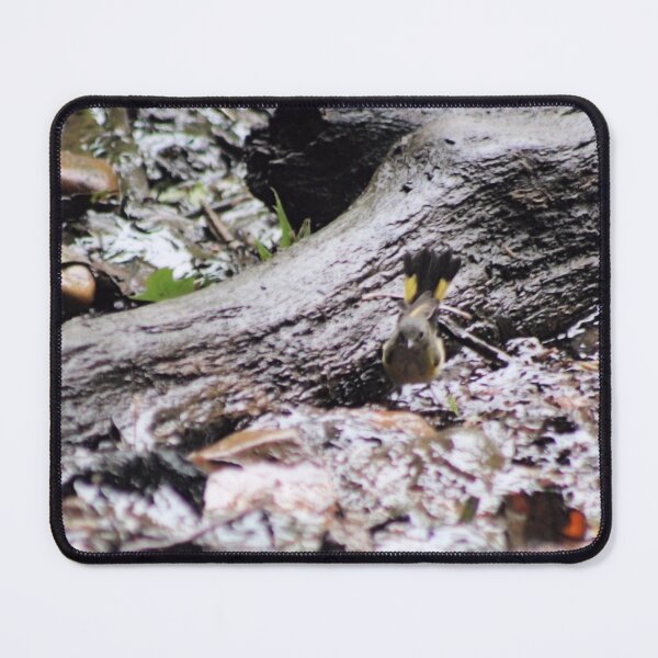 Item preview, AMERICAN REDSTART designed and sold by BOLLA67.