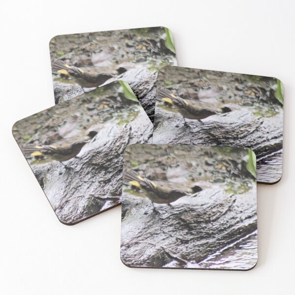 Item preview, AMERICAN REDSTART II designed and sold by BOLLA67.