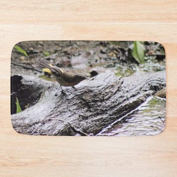 Item preview, AMERICAN REDSTART II designed and sold by BOLLA67.