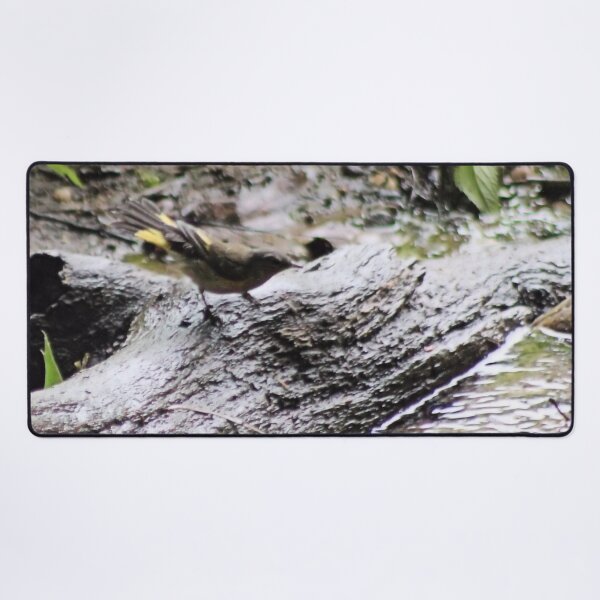 Item preview, AMERICAN REDSTART II designed and sold by BOLLA67.