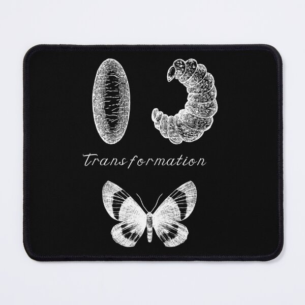 Item preview, Butterfly Transformation designed and sold by Bmc-Designer.