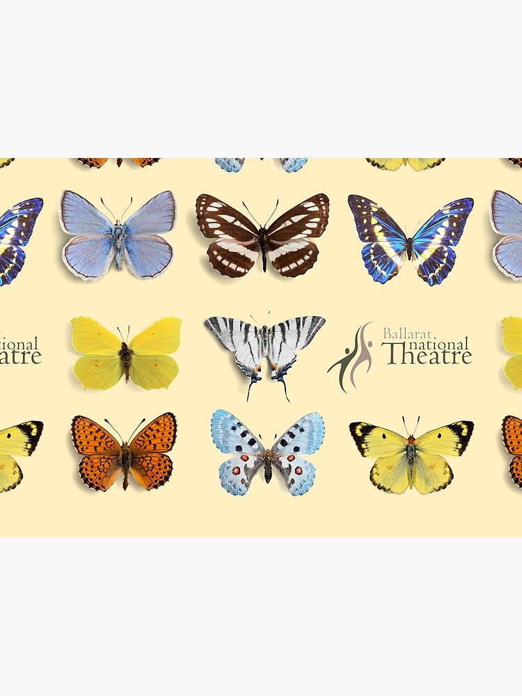 Ballarat National Theatre Retro 00s Butterflies by BalNatTheatre