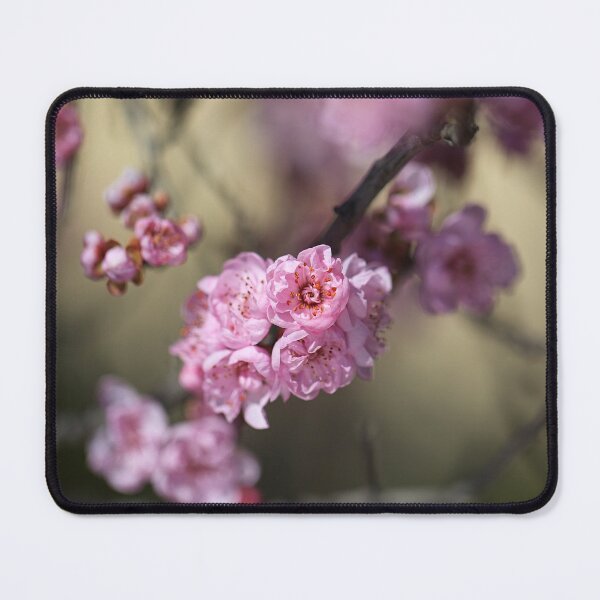 Item preview, Blossom Dreams Pink designed and sold by Joy Watson - Natural Light Photography .