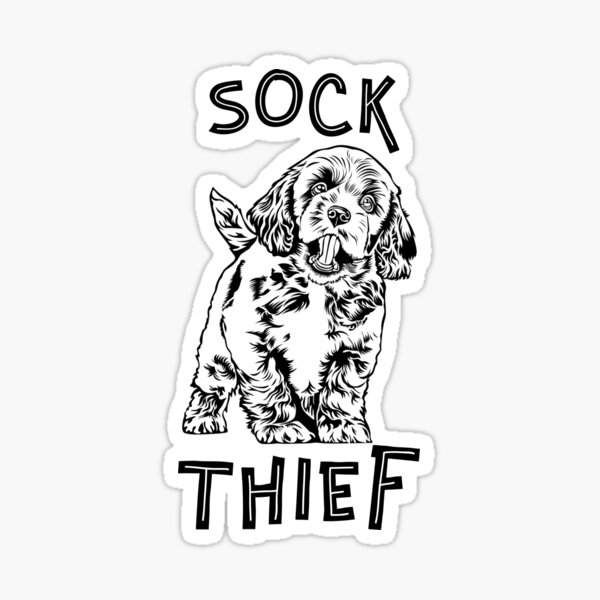 Item preview, Sock thief cockapoo cavapoo design designed and sold by Craig Jones.