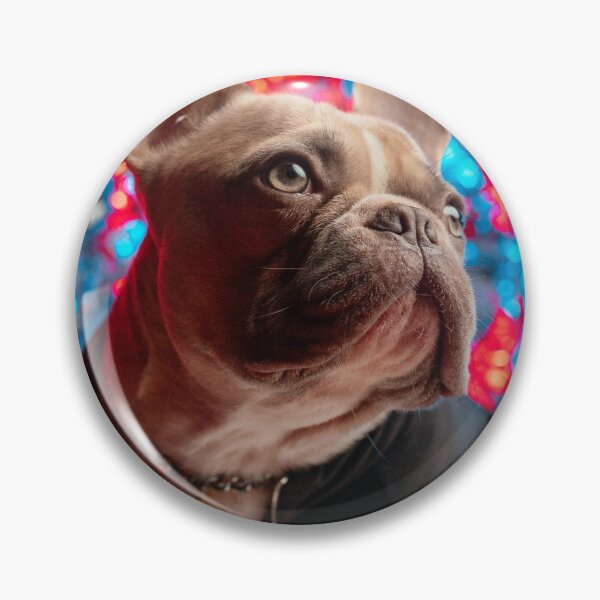 Item preview, Lindo frenchie designed and sold by asun5.