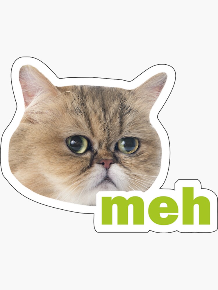 Funny Cat look angry Meme Sticker Bundle meow kitten cat lady funny cat  memes | Magnet