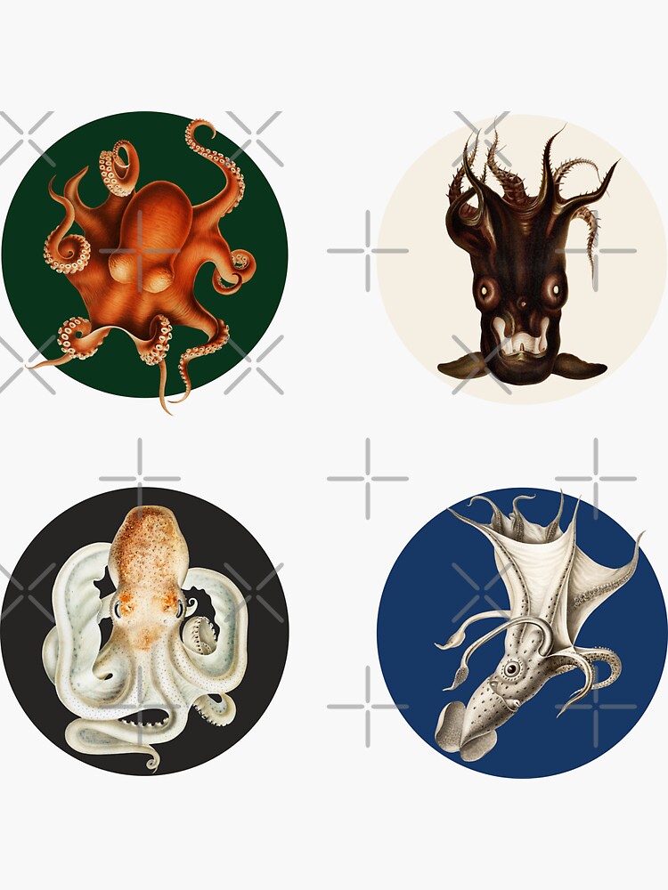 Octopus Sticker Pack Sticker Set With 4 Round Stickers Sticker For Sale By Yennyz Redbubble 8752