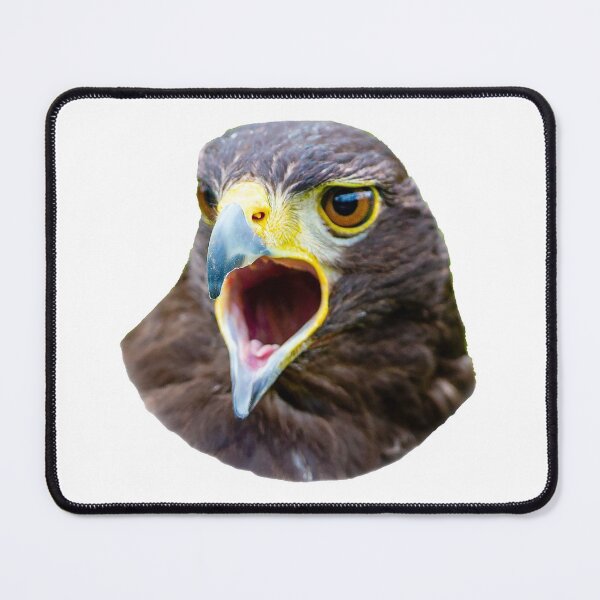 Item preview, Screaming Harris Hawk designed and sold by Dalyndigital Photography.
