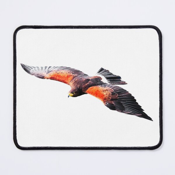 Item preview, Harris Hawk in flight designed and sold by Dalyndigital Photography.