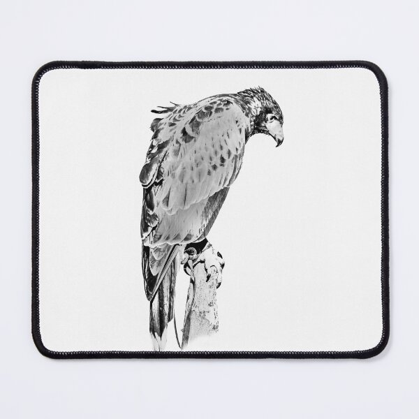 Item preview, Harris Hawk designed and sold by Dalyndigital Photography.