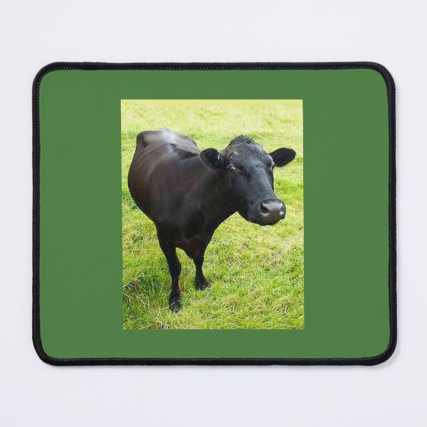Item preview, Aberdeen Angus cow designed and sold by Marju Rose.
