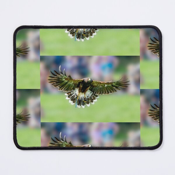 Item preview, Harris Hawk on the wing designed and sold by Dalyndigital Photography.