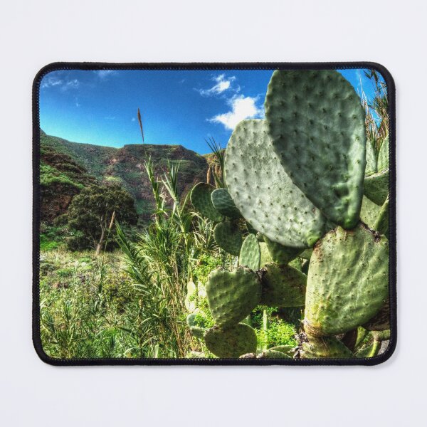 Item preview, Cacti designed and sold by hawkie.