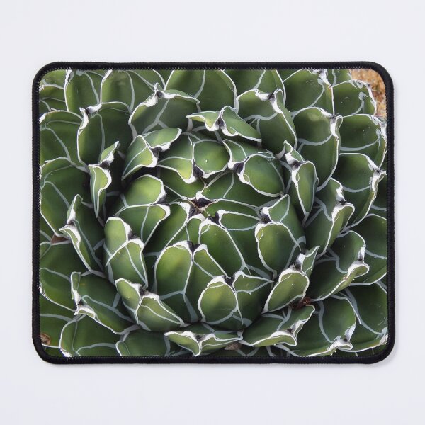 Item preview, Patterns of Nature designed and sold by Harrison Lucas.