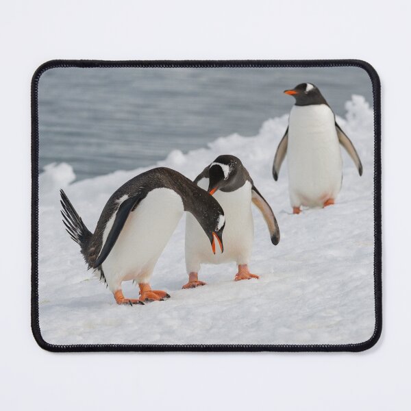 Item preview, R U OK? designed and sold by Mark Prior.