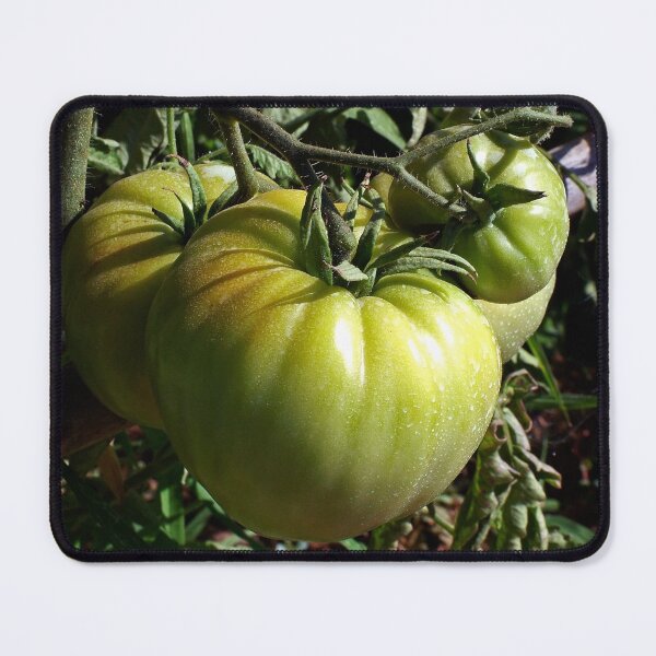 Item preview, Tomatoes designed and sold by Gaspar Avila.