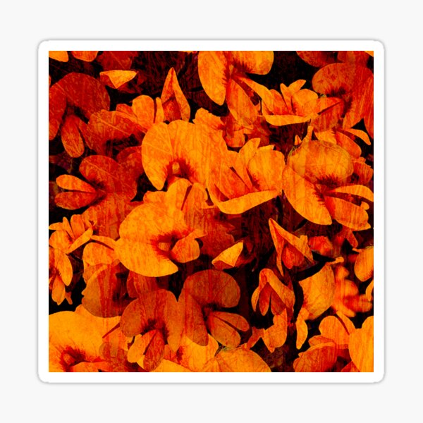 Wild Pea Sticker