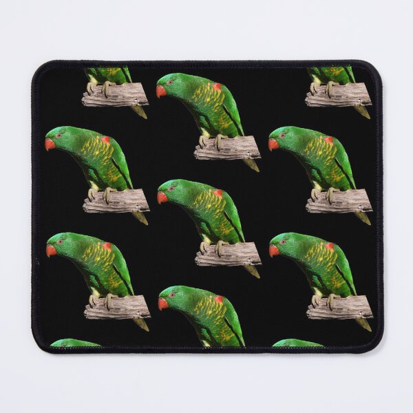 Item preview, Lorikeet pattern 3 designed and sold by quentinjlang.