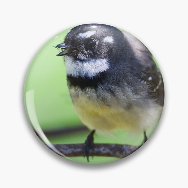 Item preview, Grey Fantail designed and sold by scar.