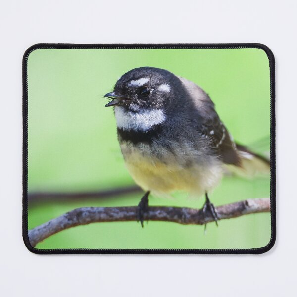 Item preview, Grey Fantail designed and sold by scar.