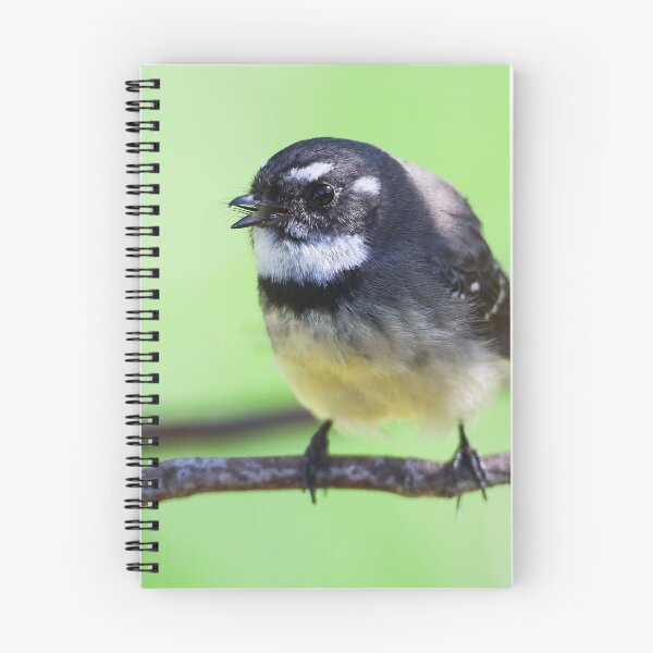 Item preview, Grey Fantail designed and sold by scar.
