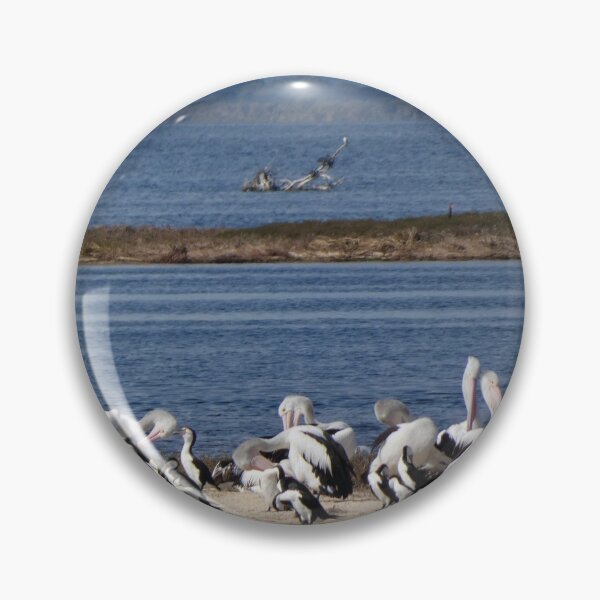 Item preview, Peel Inlet Wildlife designed and sold by Harrison Lucas.