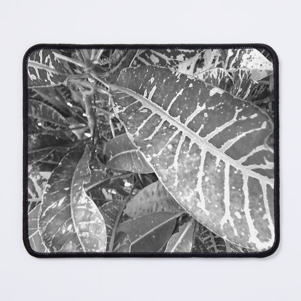 Item preview, Purist picture of tropical garden leaves in black and white designed and sold by Manoroma.