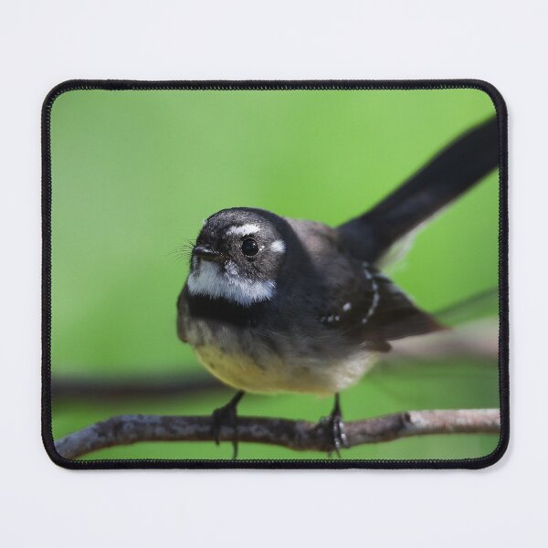 Item preview, Grey Fantail designed and sold by scar.