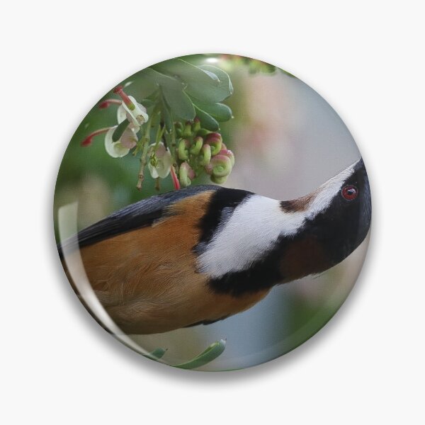 Item preview, Eastern Spinebill designed and sold by scar.