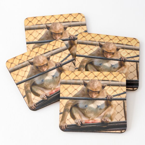 Item preview, Crab-eating macaque  designed and sold by troianifabrizio.